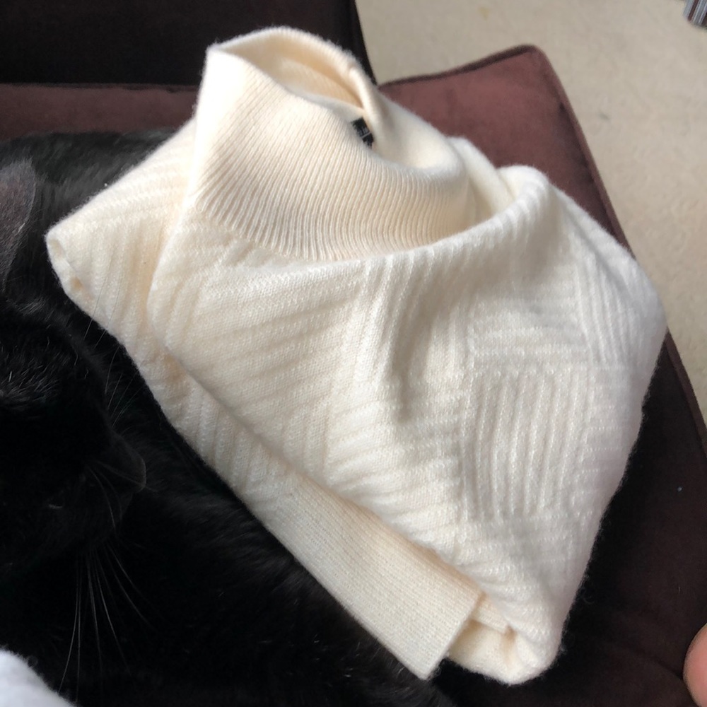 Sofia cashmere Turtleneck in Large